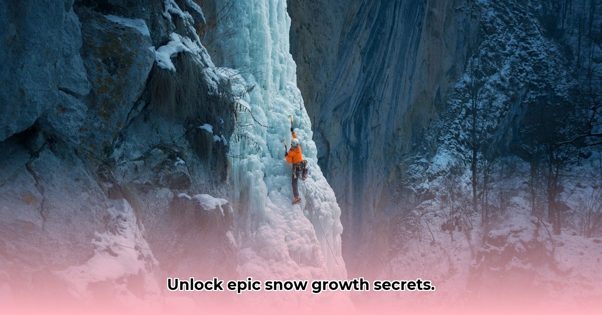 mountain-snow-growing-techniques